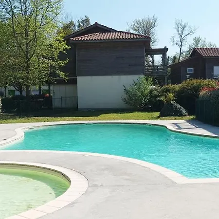 Les Terrasses Du Piscine M65 Aureilhan (Landes)