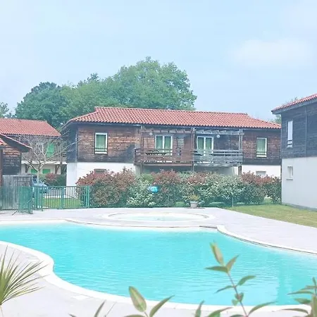 Les Terrasses Du Piscine M65 Aureilhan (Landes)